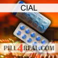 Cial 40